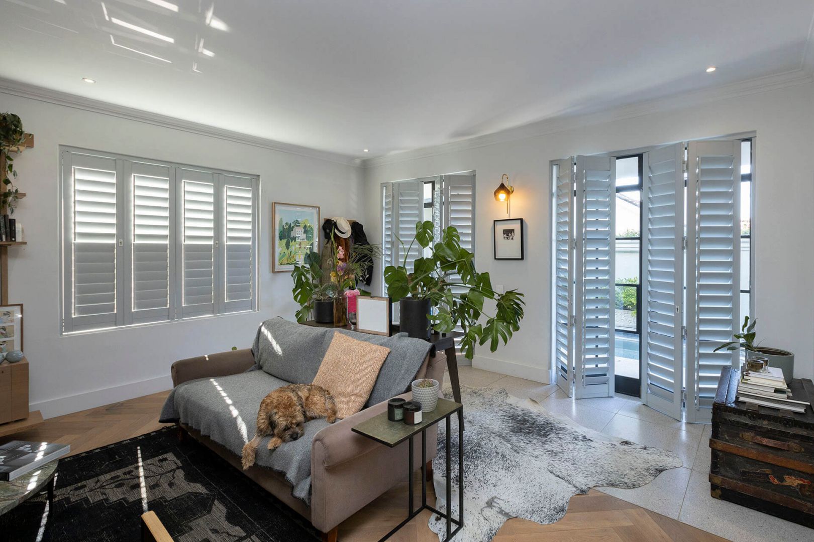 Lounge Shutters